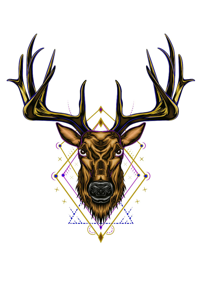 Deer head illustration