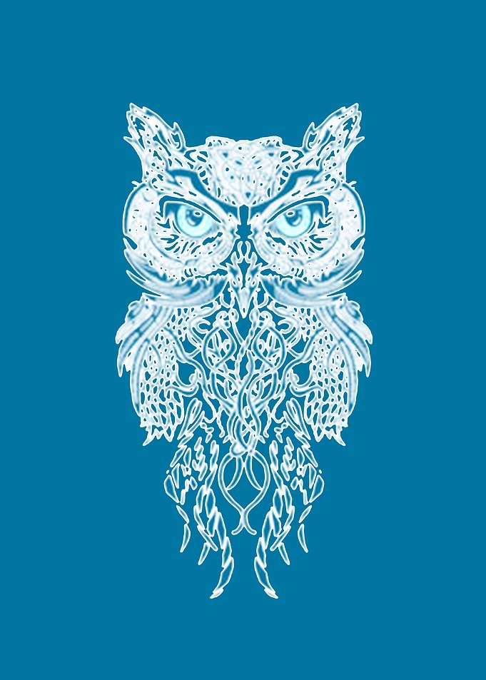 owl