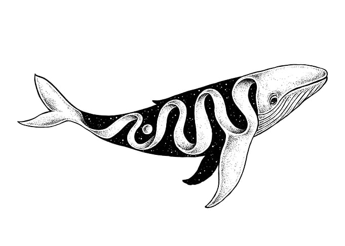 Lost Whale