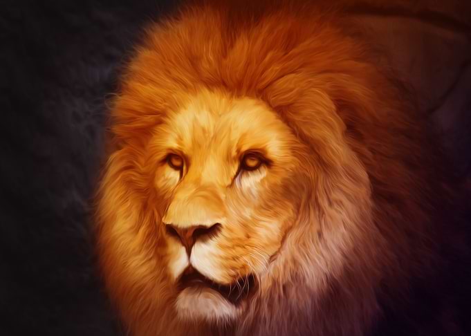 Lion Artwork