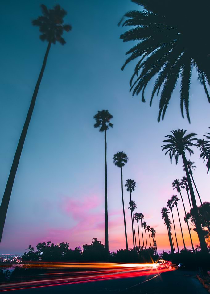Elysian Park
