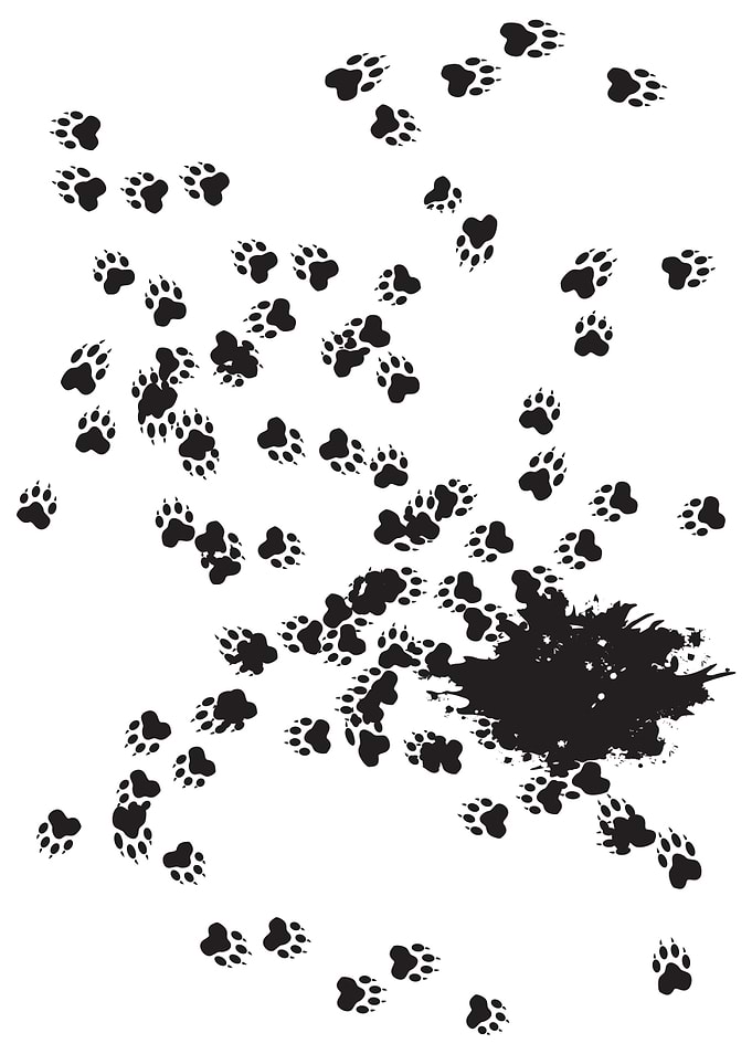 ink paws