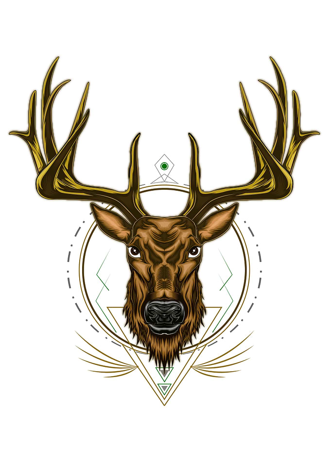 Deer head illustration