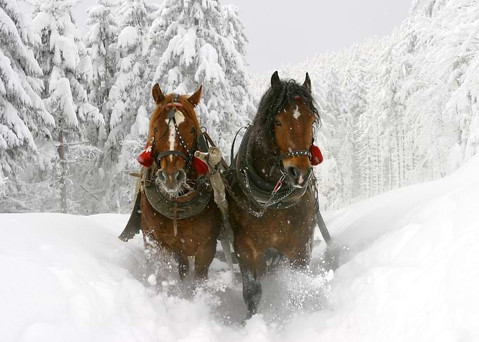 Winter View