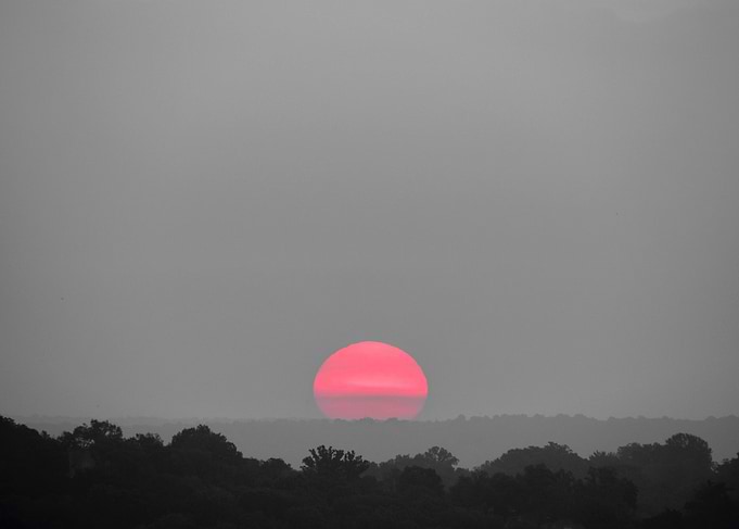 A Violet Sunrise