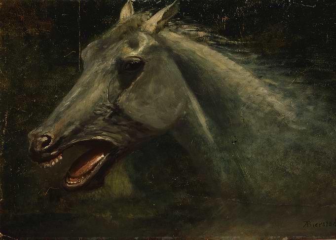 Horse Artwork