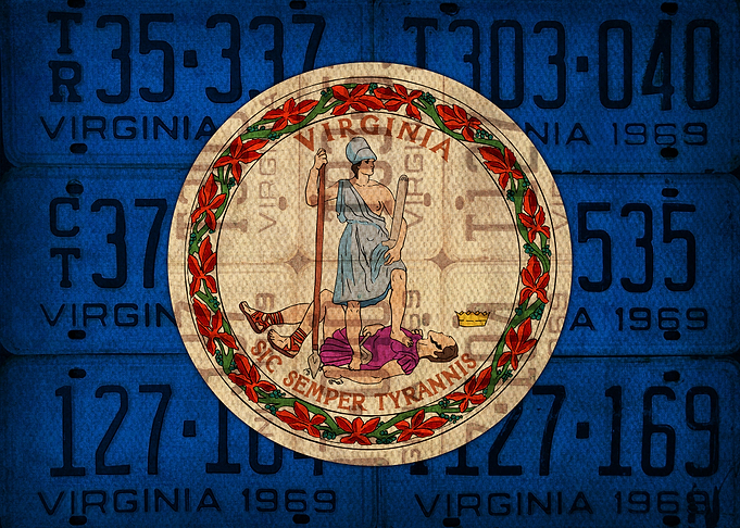 Virginia State Flag Art