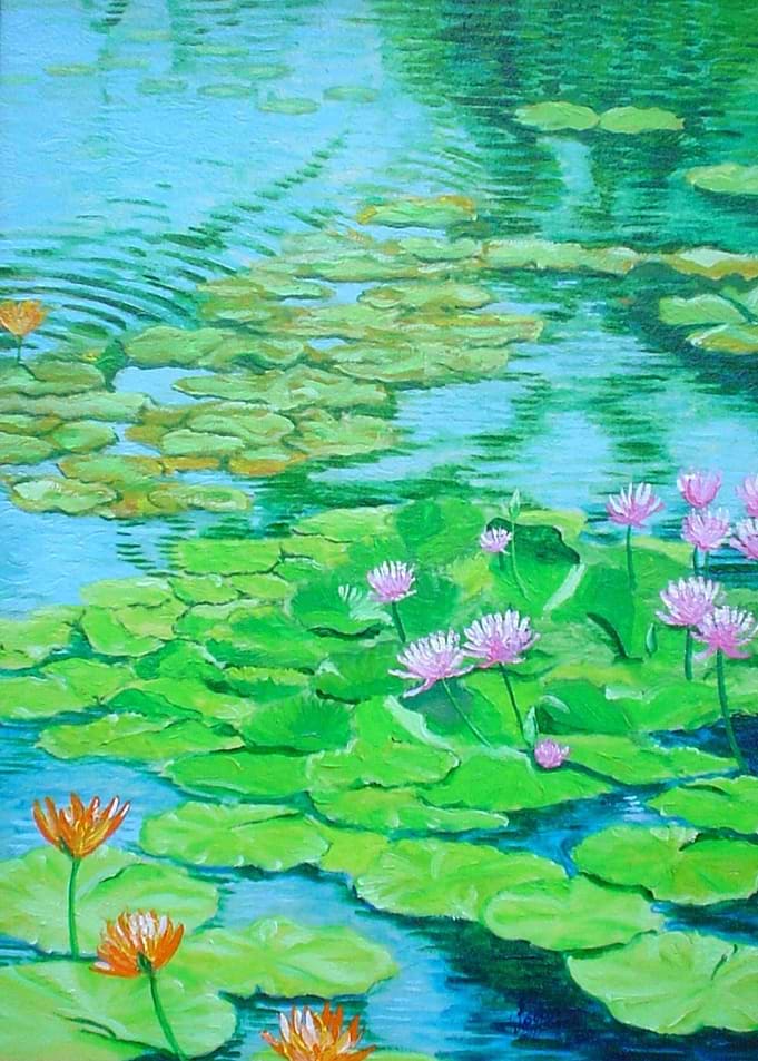 NYMPHAEA