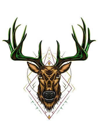Buck Deer head ilustration