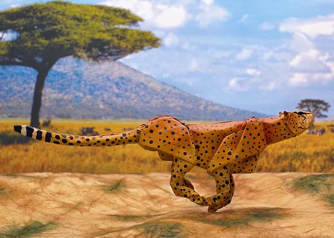 Cheetah Artwork