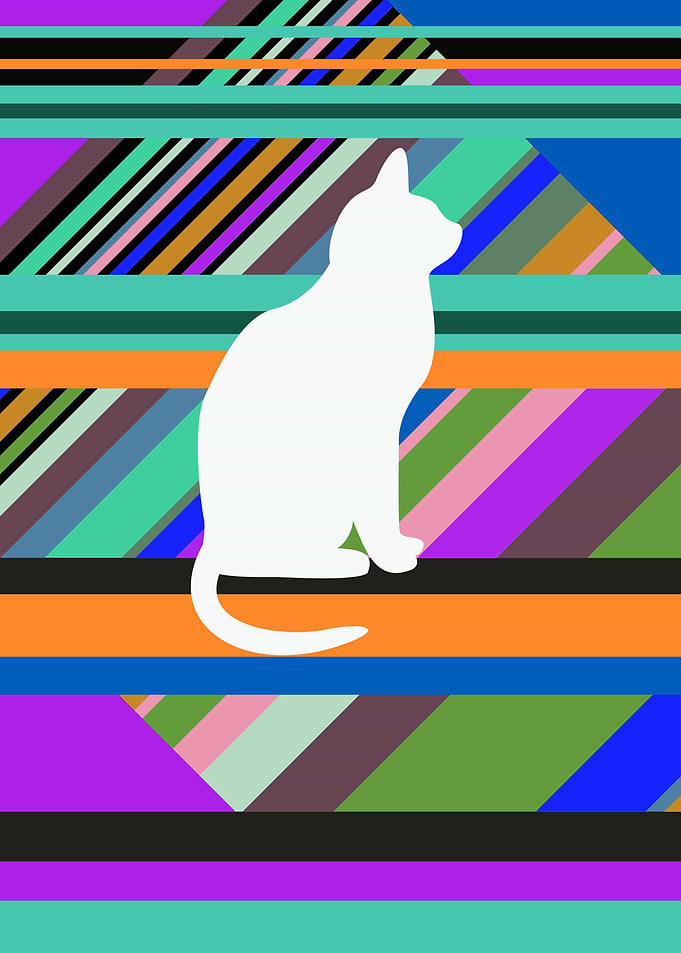 White Cat 1
