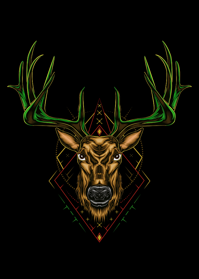 Buck Deer head ilustration