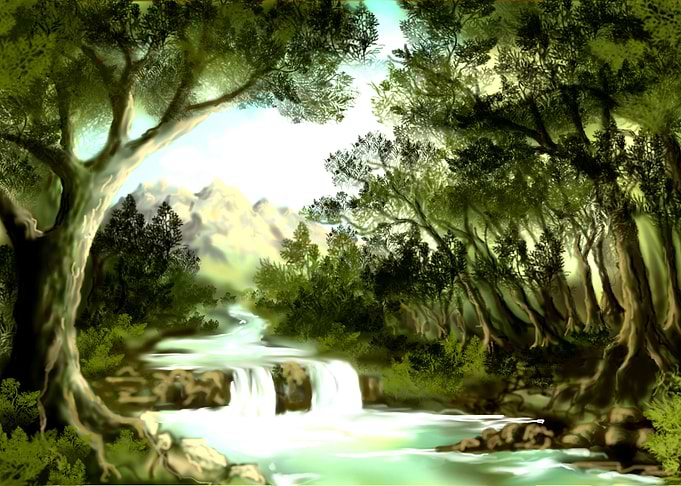 Rainforest