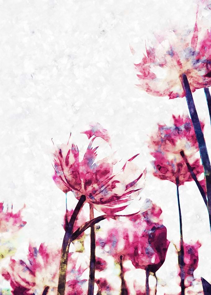Cute Pink Flowers