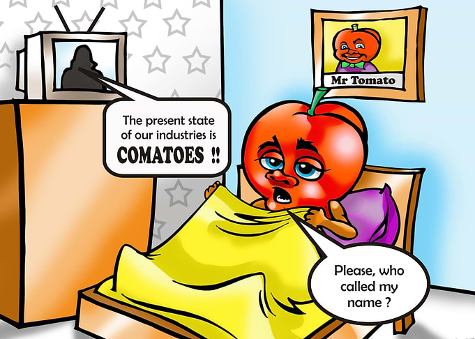MR TOMATO