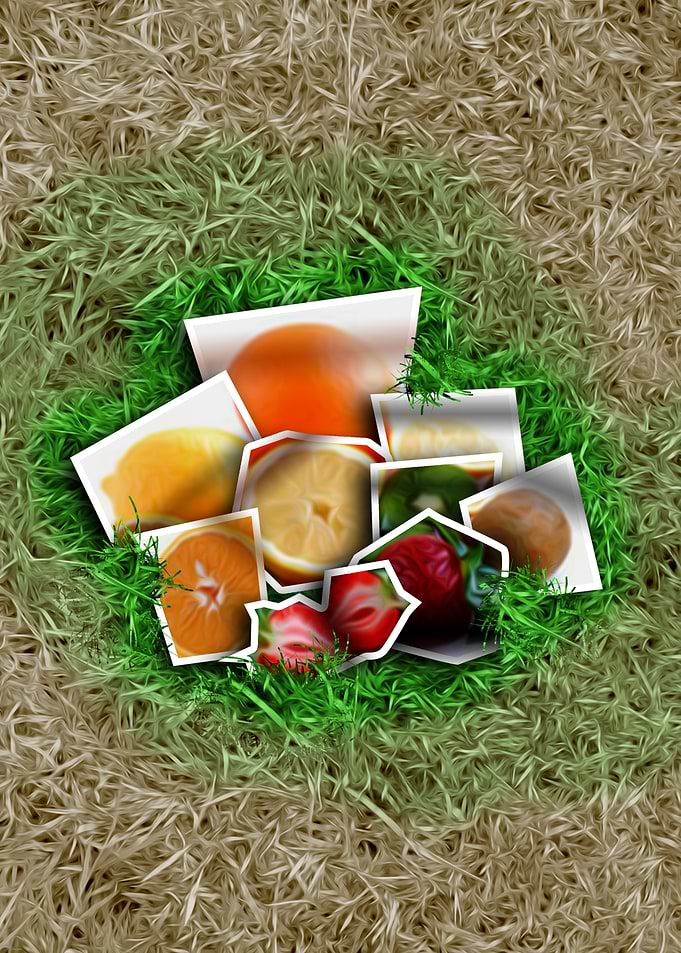 Lucky Fruits