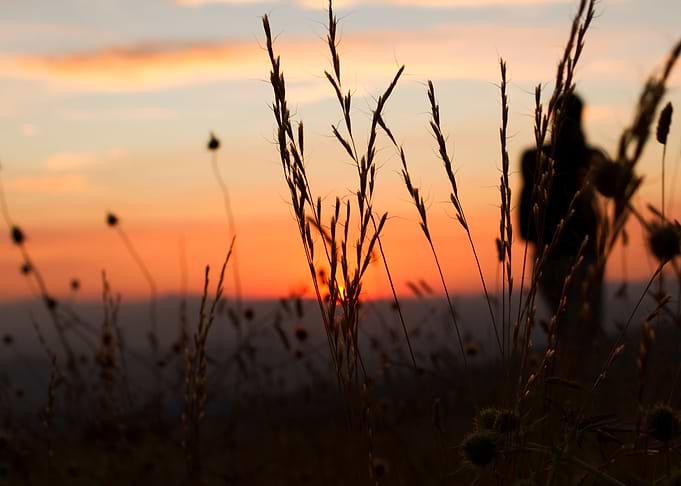 Love ly sunset