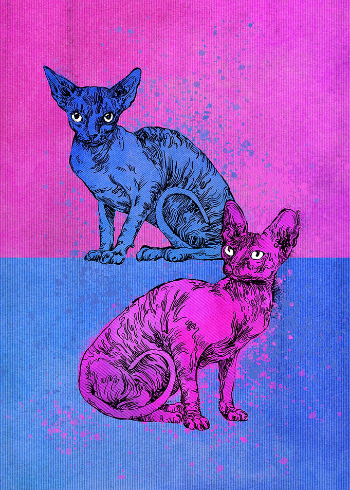 Two sphinx cats for kids