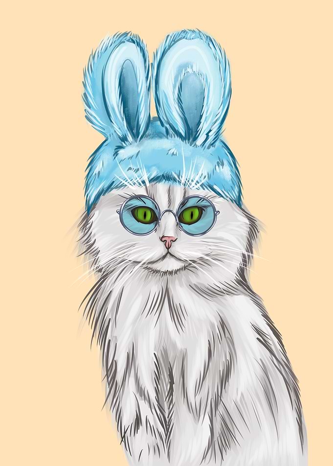 grey cat with glasses