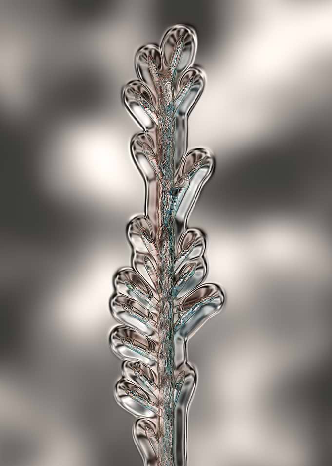 Crystal 8