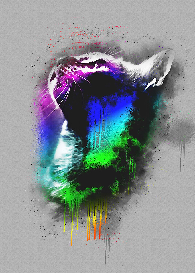 Color Cat