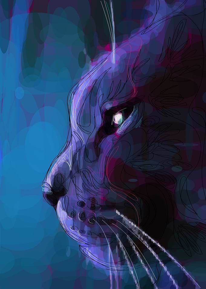 Enlightened Cat
