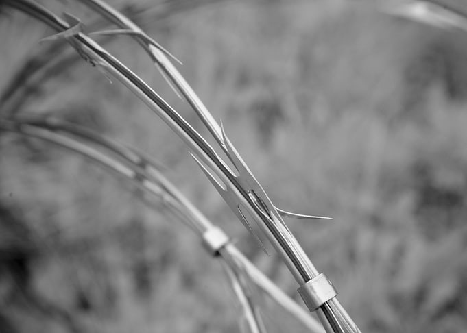 Razor wire