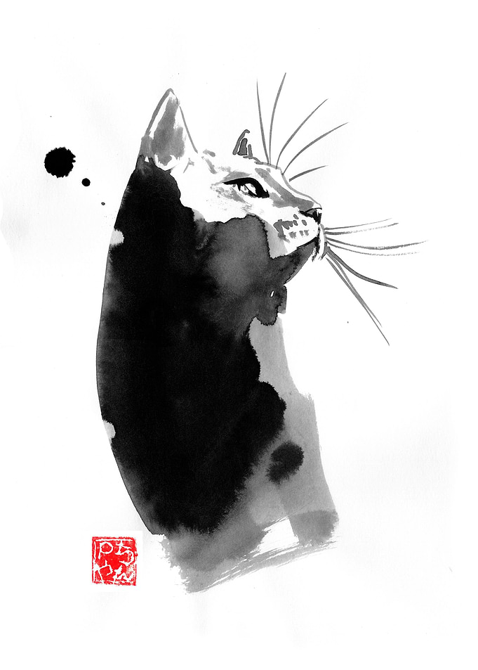 idea cat