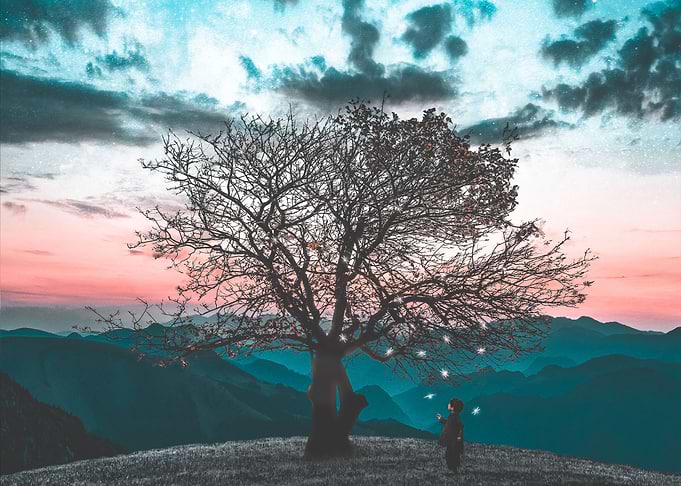 Magic Tree