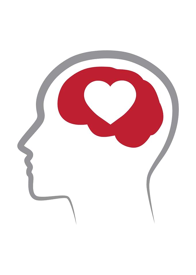 brain heart