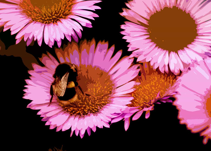 Busy Bee III