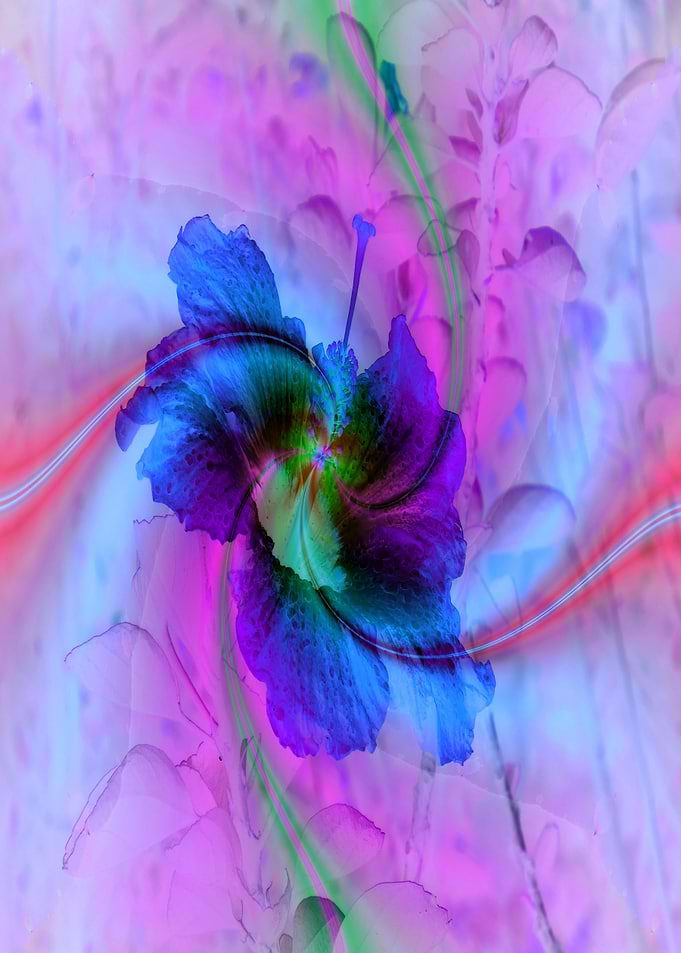 Iris Splash