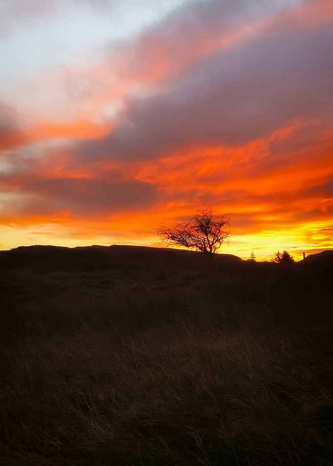 Skye Sunrise