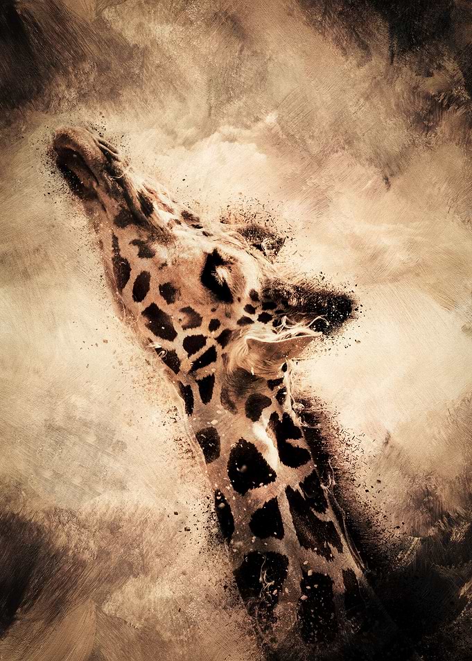 Reaching Giraffe