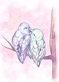 Two parrots kiss