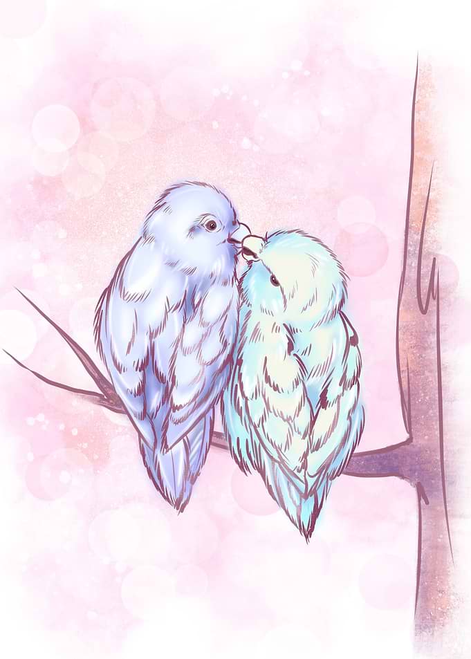 Two parrots kiss