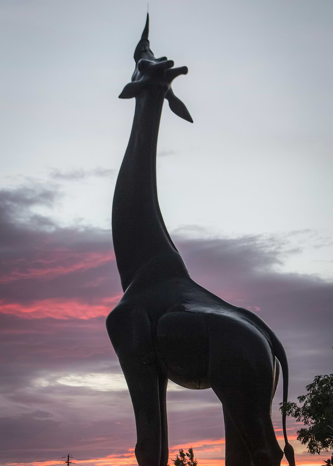 Touch the Sky Sunset