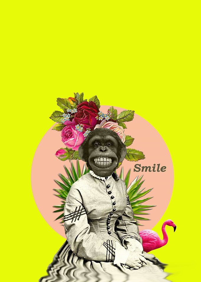 Psy monkey