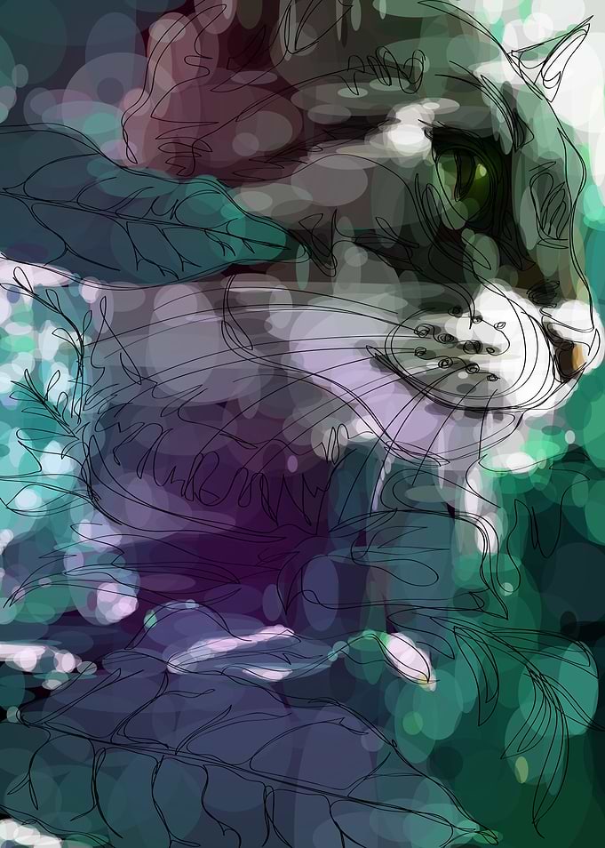 Jungle Cat