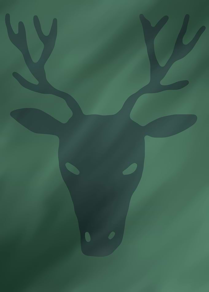 Deer through fog