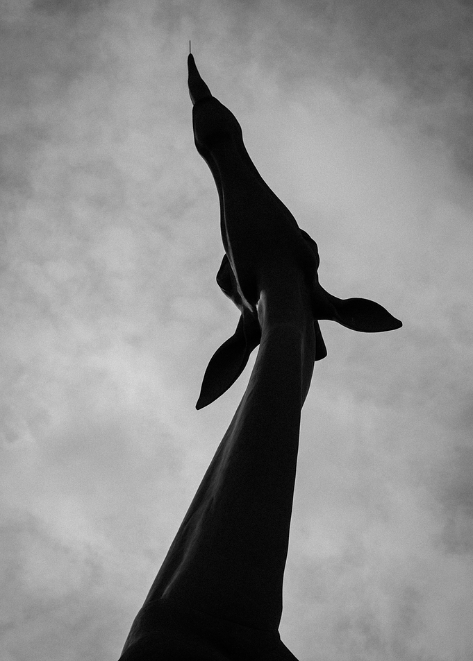 Touch the Sky