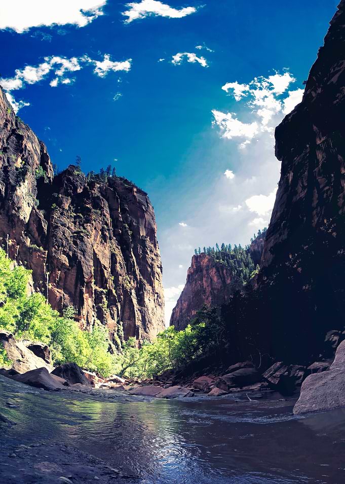 Zion Zion