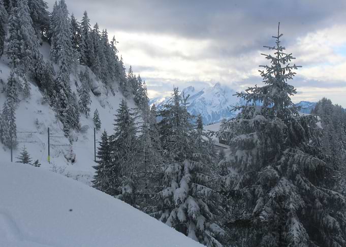 Swiss Winter