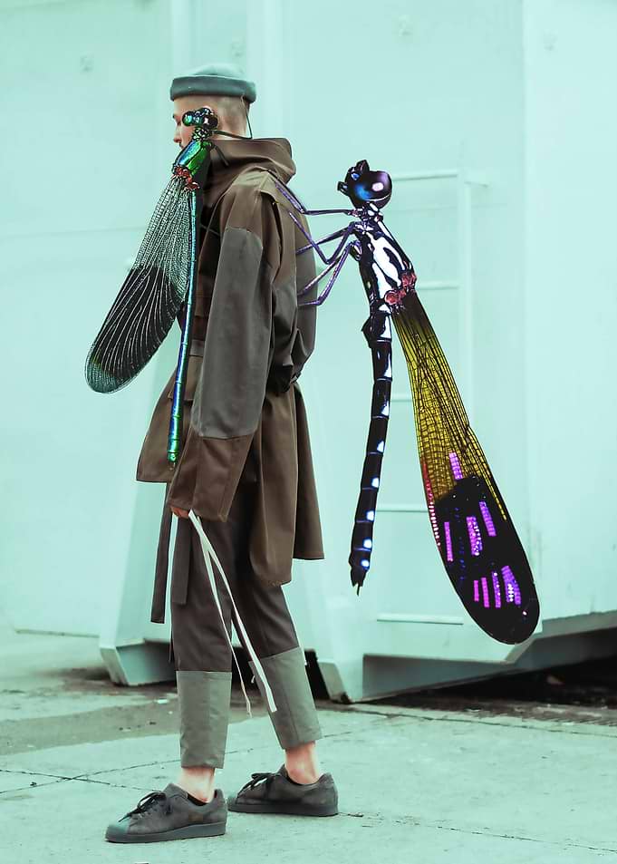 Dragonfly man