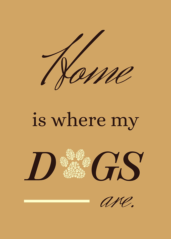 Home is where the dog is