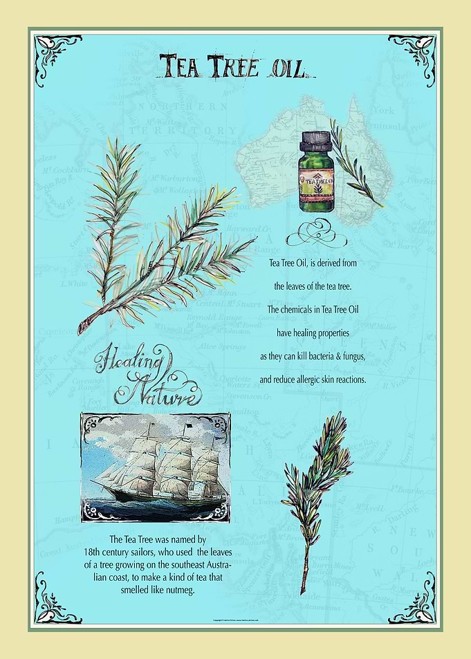 Tea Tree Oil 2