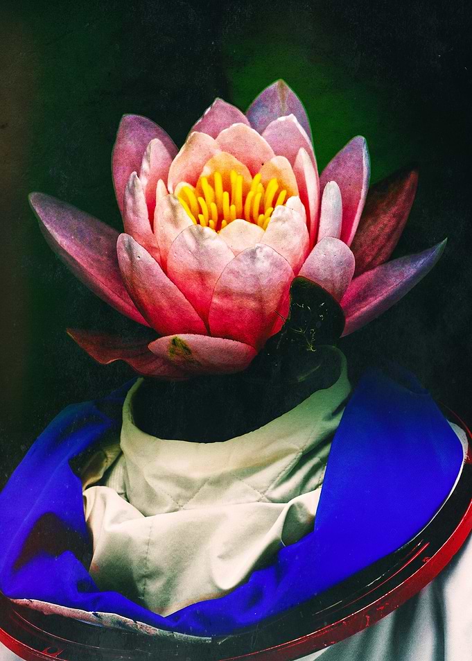 Lotus