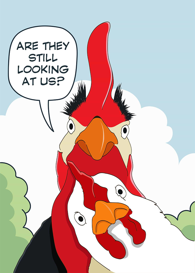 Surprised chicken