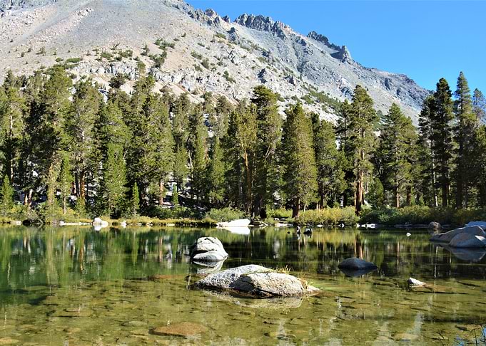 Flower Lake Mirror