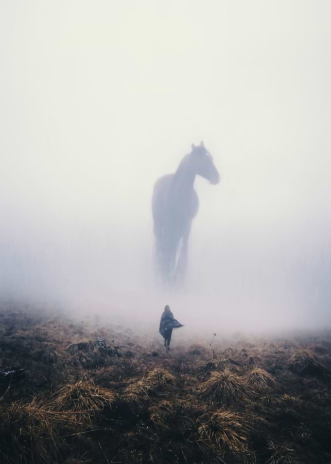 Dawn mists